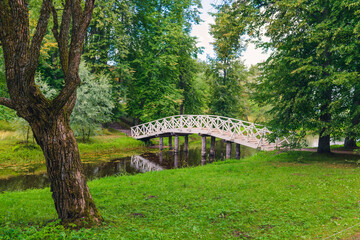 Amazing landscape in a beautiful park