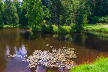 Amazing landscape in a beautiful park