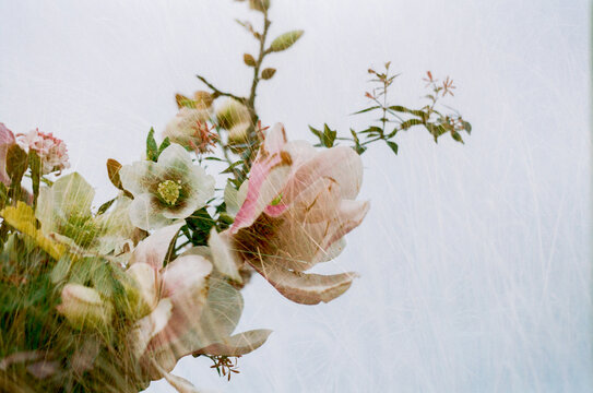 Double Exposure with Flowers