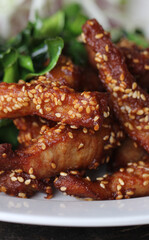 Delicious hot Deep Fried chicken pork stick topping with sesame decorated with fried herb at gourmet restaurant, food advertising backgrounds