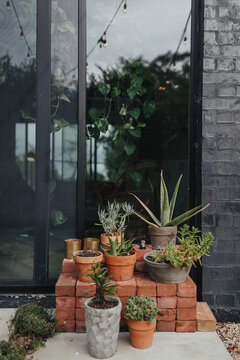 A group of succulents & cactus potted in front of a house sliding door.