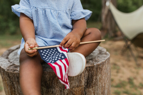 Adorable little toddler girl sitting on a tree stump, wearing a cute dress and holding an American Flag.