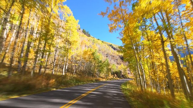 Front pov point of view driving car on Maroon Bells Creek scenic road in Aspen, Colorado USA Rocky mountains with colorful autumn fall foliage trees in 2019
