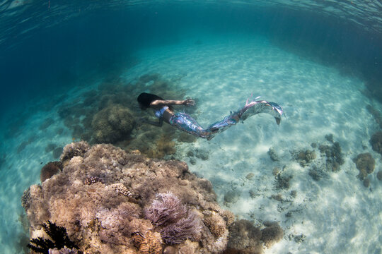 Female mermaid swimming underwater