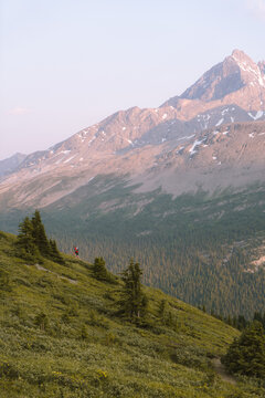 Wilcox Pass, AB
