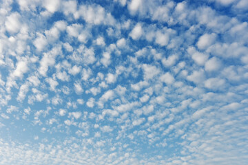 Naklejka na ściany i meble Blue sky with many fluffy white clouds