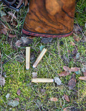 Bullets on the grass with a rifle__s butt