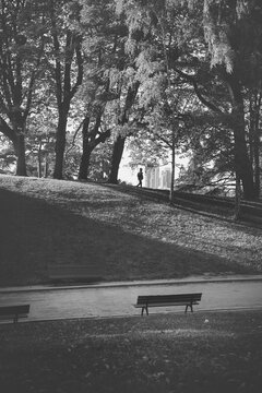Silhouette of a man walking in Buttes Chaumont Park in Paris, France