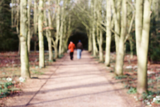 A deliberately blurred image of an avenue of trees and 2 people.