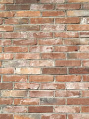 レンガの壁