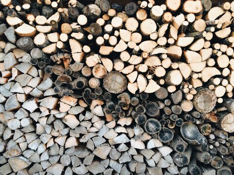 Pile of chopped wood