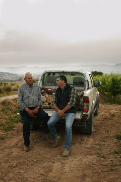 Father and son taking a break on the back of a pickup parked in the vineyards