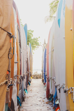 Rows of surfboards at beach