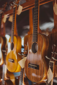 Rows of guitars