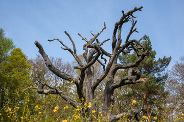 Landschaftspark Degenershausen