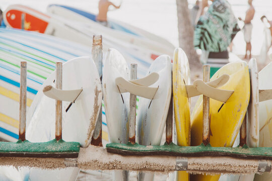 Rows of surfboards at beach
