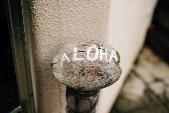 Ahola Coconut