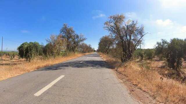 dolly forward move - EN386 paved road through olive groves next to Brinches, municipality of Serpa, district of Beja, Alentejo, Portugal