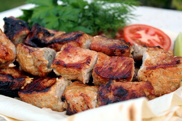 Grilled meat with pieces and vegetables