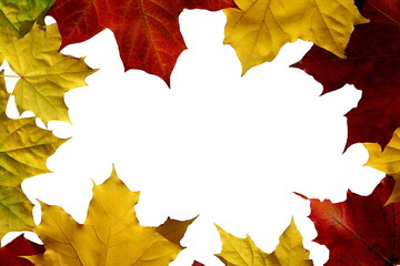 Autumn maple leaves lie on a white background in the form of a frame with a place for textiles