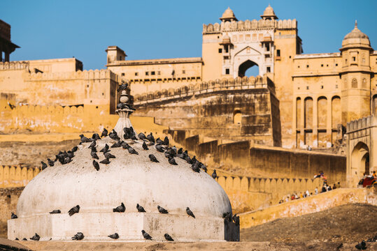 Amber Fort