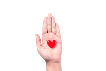 Red heart in woman's hand, on isolate white background.