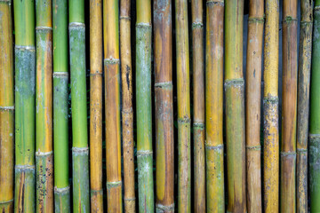 Bamboo texture wall background thailand.