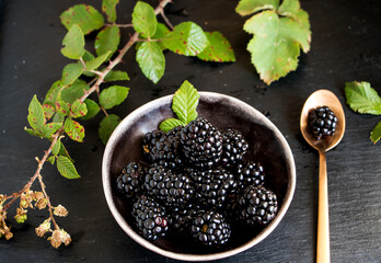 reife brombeeren mit Brombeerranke in einer schüssel vor schwarzen hintegrund