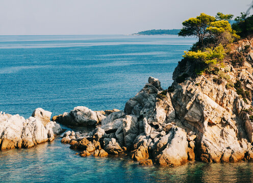 Rocks And Trees Along The Shore