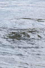 湧き水のように見える公園の噴水