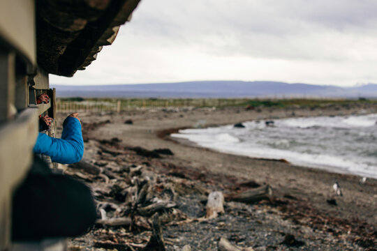 Tourists pointing to Beachside Penguin Rookery - Powered by Adobe