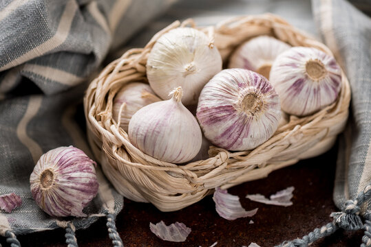 Elephant Garlic