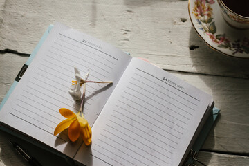 Crocus flowers on a journal that is open at a page in February