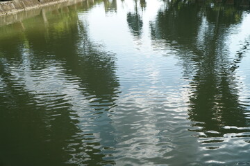 Tree Reflections in water.