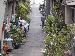 長家の露地裏