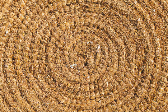 Archery Target Made of Straw