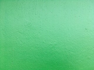 Green texture of the wall