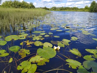 Connecting with nature for one day