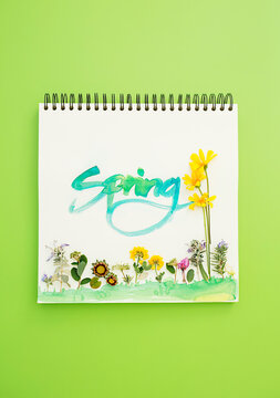 Spring