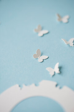 White butterflies flying away from a shape