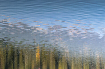 reflection of trees in water