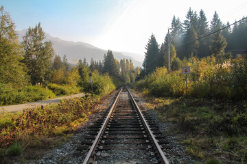 Fototapeta na wymiar railway in the mountains in autumn
