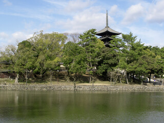 Fototapeta na wymiar 世界遺産の興福寺と猿沢池