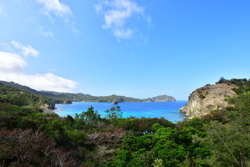 Fototapeta premium 小笠原の海