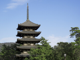 世界遺産の興福寺五重塔