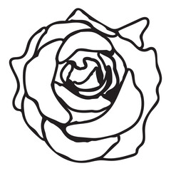 Black Rose silhouette papercut style. Isolated on white background.