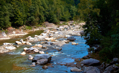 Naklejka na ściany i meble Mountain river with trees and stones along the banks. Carpathians. Ukraine