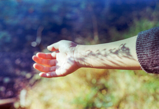 Girl's hand in the bright sunlight on a warm day