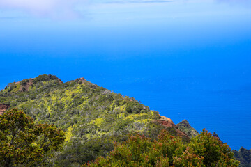 Fototapeta na wymiar Kalalau Lookout, Na Pali Coast State Wilderness Park, Kauai, Hawaii