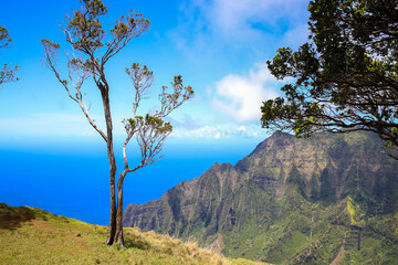 Kalalau Lookout, Na Pali Coast State Wilderness Park, Kauai, Hawaii